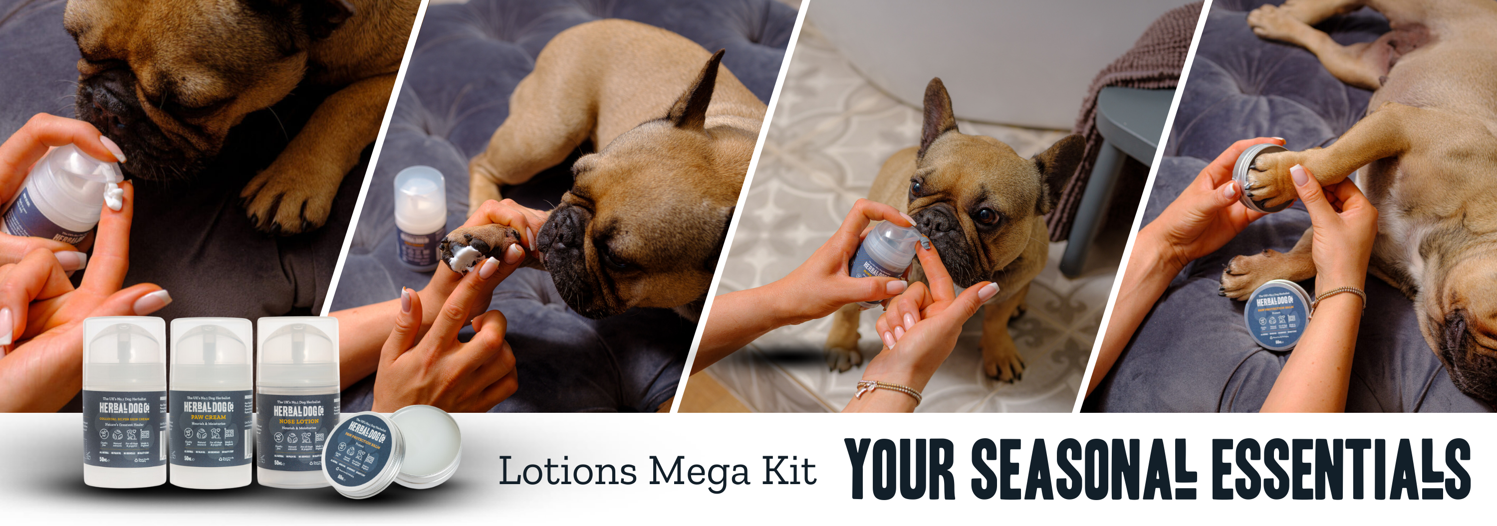 Lotions Mega Kit | Your Seasonal Essentials