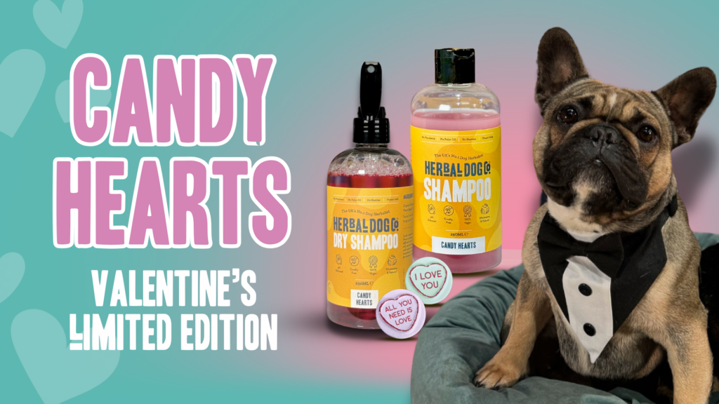 Valentine's Limited Edition Candy Hearts