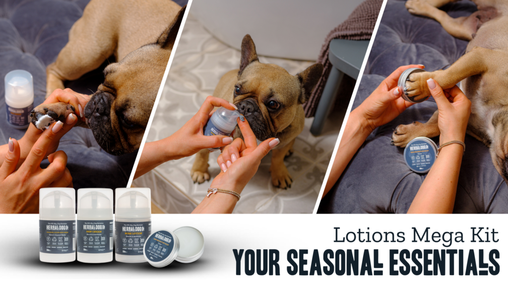 Lotions Mega Kit | Your Seasonal Essentials